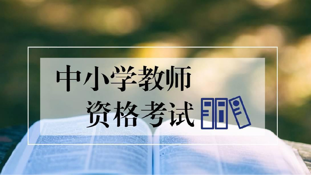 国家教师资格证笔试资料（幼教）